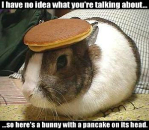 bunny pancake head