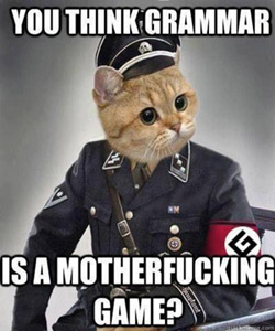 grammar cat