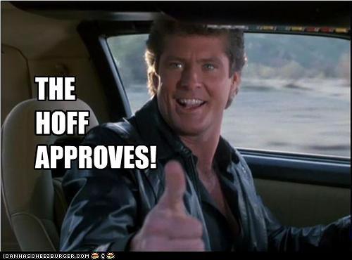 THE HOFF APPROVES