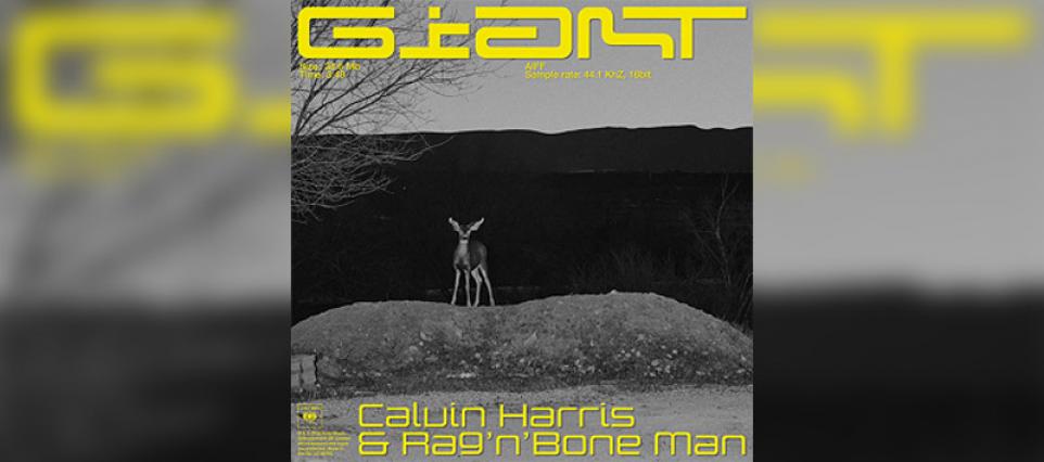 Giant calvin harris deals